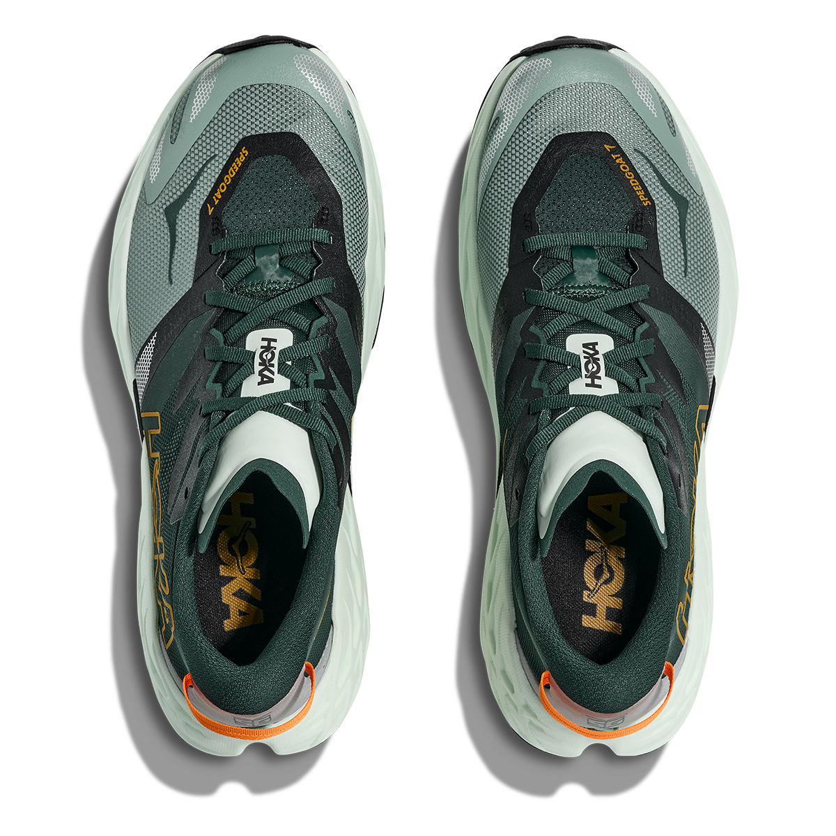 HOKA Speedgoat 7 Men's Shoes
